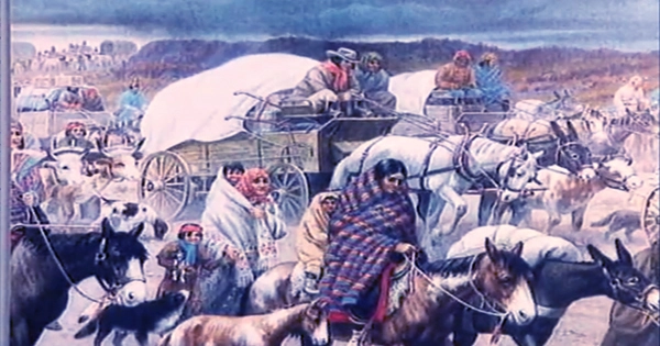 Cherokee Leader Attempts to Prevent the Trail of Tears