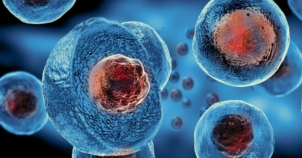 Embryonic Stem Cells (ESCs)