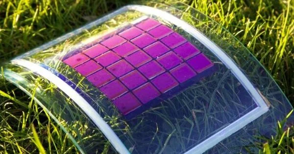 How Organic Solar Cells might become much more Efficient