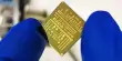Hybrid Transistors Pave the Way for Biological and Microelectronic Integration