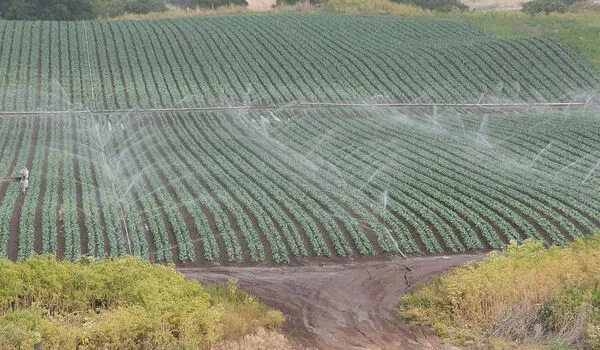 Study quantifies how aquifer depletion threatens crop yields