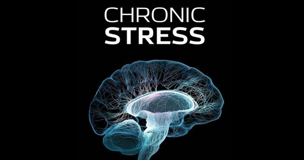 Chronic Stress