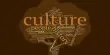 Cultural Anthropology – a branch of anthropology