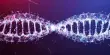 DNA Building Resulted in an Unanticipated Finding of Critical Cell Function