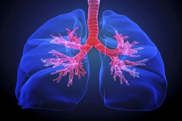 Healthy omega-3 fats may slow deadly pulmonary fibrosis