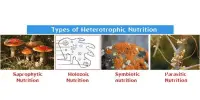 Heterotrophic Nutrition – a type of nutrition