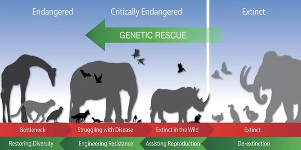 How technology and economics can help save endangered species