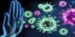 How the Immune System affects Human Behavior