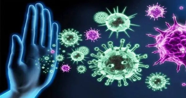 How the Immune System affects Human Behavior