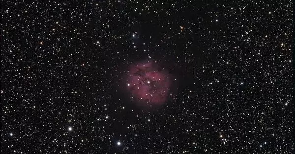 IC 5146 – an emission nebula