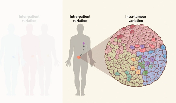 Machine learning reveals sources of heterogeneity among cells in our bodies