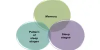 Memory Study – Breathing during Sleep Influences Memory Processes