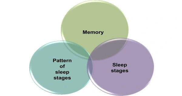 Memory Study – Breathing during Sleep Influences Memory Processes