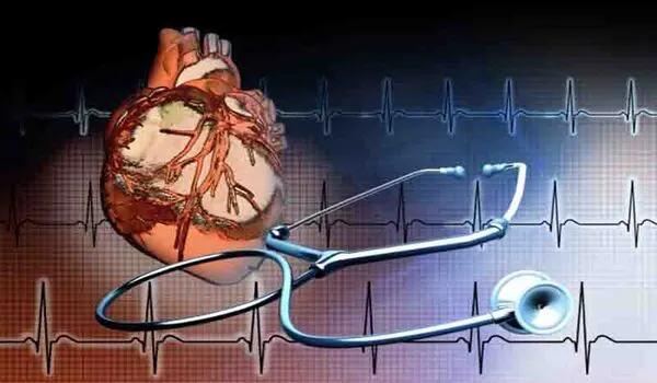 New discovery could aid regenerative heart therapies