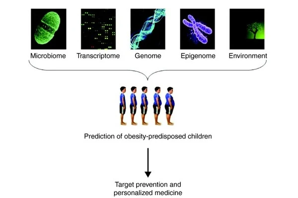 Specific genetic variant may help prevent obesity