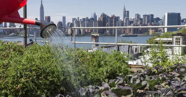 Research Team Presents a Path for Expanding Urban Agriculture