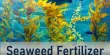 Seaweed Fertilizer