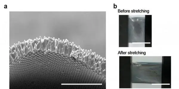 High-performance stretchable solar cells