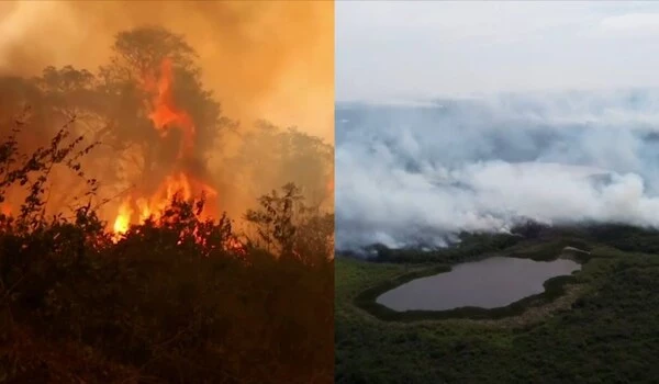 Wildfires also impact aquatic ecosystems
