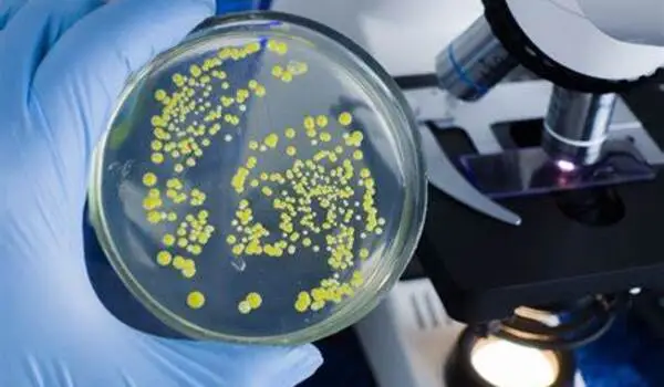 New approach to tackling bacterial infections identified