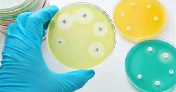 A New Strategy to Treating Bacterial Infections has been identified