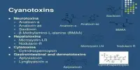 Cyanotoxins – a poison produced by cyanobacteria