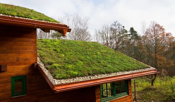 Fungal-rich soil may improve green roofs