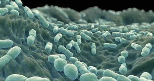 Listeria, a Foodborne Disease, may hide from Sanitizers in Biofilm
