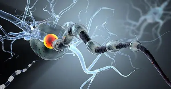 Magnetized Neurons can be used to Treat Parkinson’s Symptoms