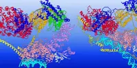 Observing a Protein that Changes its Form