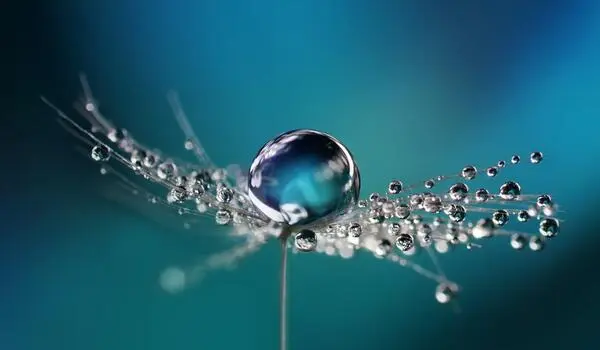 Research of water droplet interfaces that offer the secret ingredient for building life