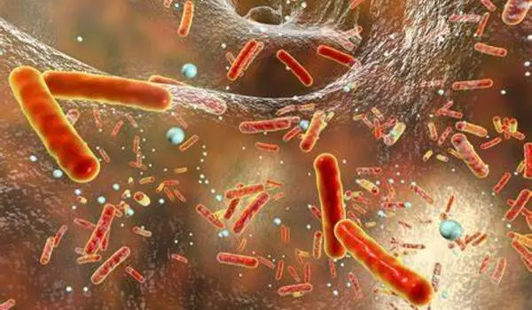Resistant bacteria can remain in the body for years