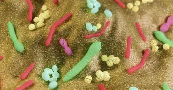 Resistant Germs can Persist in the Body for Years