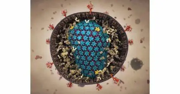 Simulations reveal how HIV Slips into the Cell’s Nucleus