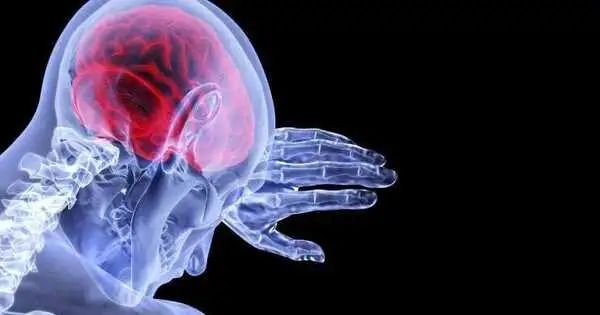 Both Cheap and Pricey Treatments prevented Migraines