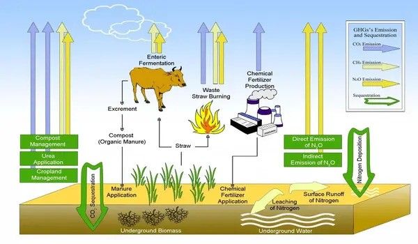 New study is first step in predicting carbon emissions in agriculture