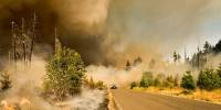 Wildfires Connected to a Surge in Mental Health-related Emergency Department Visits