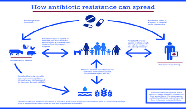 Antibiotic Resistance Genes have significantly increased in both Humans and Cattle