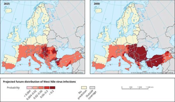 Climate change drove the emergence of West Nile virus in Europe