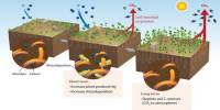 Climate Change impacts the Microbial Food Web in Peatlands