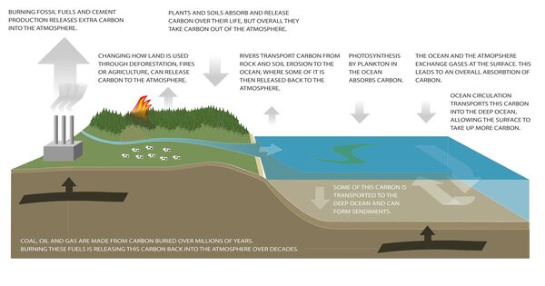 Climate and Rock Weathering – the Biggest Carbon Sinks are Low-lying Mountain Ranges