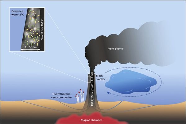 Even inactive smokers are densely colonized by microbial communities