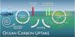 Global Research on Coastal Oceans as Carbon Dioxide Stores