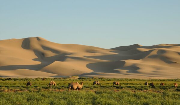 A lighthouse in the Gobi desert