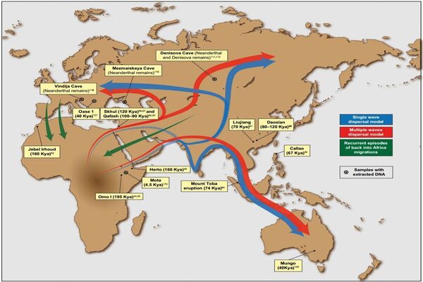 Persian plateau unveiled as crucial hub for early human migration out of Africa
