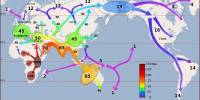 Persian Plateau Revealed as Critical Hub for Early Human Migration Out of Africa