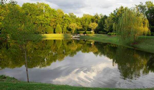 Retention ponds can deliver a substantial reduction in tire particle pollution