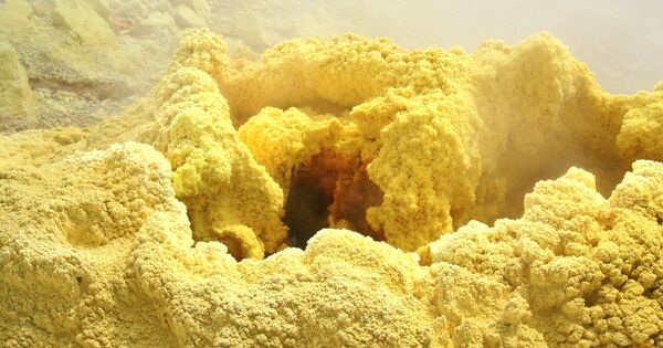 Sulfur and Life’s Origin