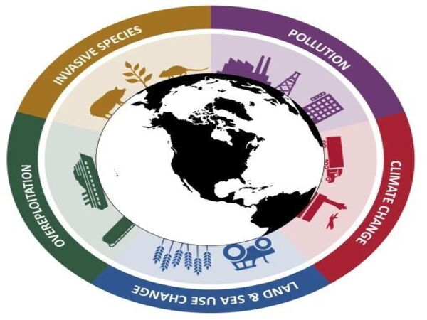 Climate change could become the main driver of biodiversity decline by mid-century