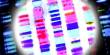 Companies may purchase Consumer Genetic Information, despite its limited Predictive Potential